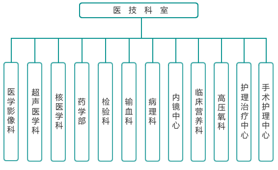 组织架构－医技科室