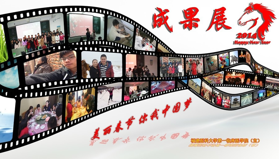 第一临床医学院团总支举办“美丽春节&middot;你我中国梦”活动