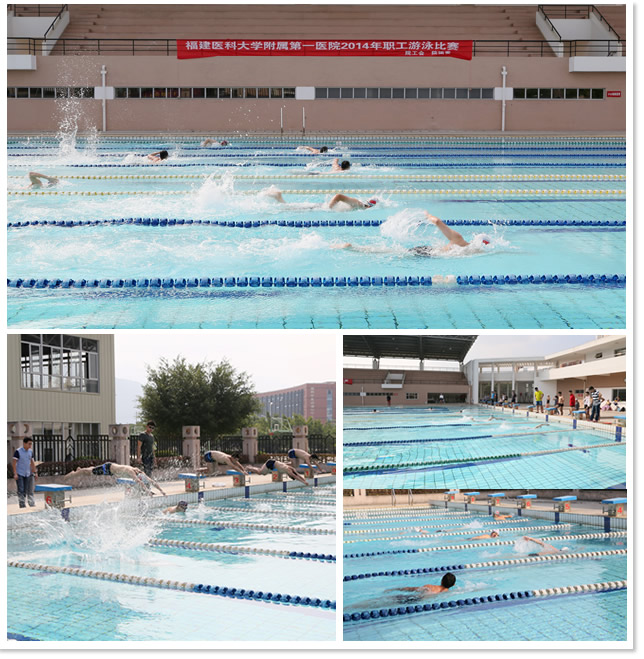 我院2014年职工游泳比赛圆满落幕