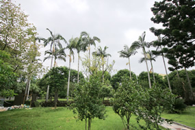 我院获准开展辅助生殖技术