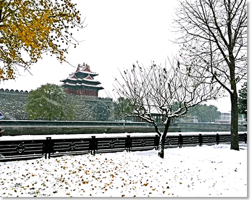 又见飘雪