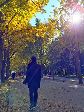 这个秋天我住在“北平”