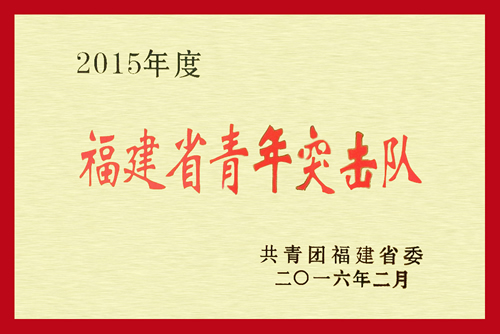 我院神经内科三区青年突击队被团省委授予2015年度“福建省青年突击队”荣誉称号