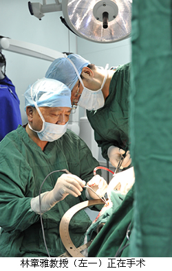 运筹帷幄 躬耕一隅——记2015年百名优秀住培带教老师林章雅教授