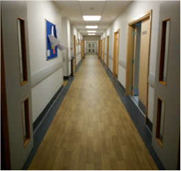 赴英国研修学习报告