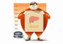 【健康促进与健康教育】脂肪肝患者的健康宣教