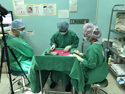 整形外科王美水主任医师在韩国研修获殊荣