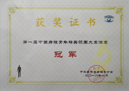 病理科张丽医师参与组建的福建代表队荣获“第一届中国病理青年精英识图大赛”冠军