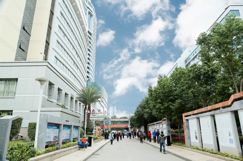 载史长廊映初心  无声文化践使命 我院美丽院区精品文化工程——医院文化长廊精彩绽放