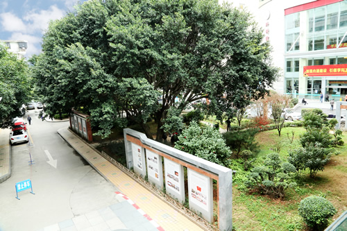 载史长廊映初心  无声文化践使命 我院美丽院区精品文化工程——医院文化长廊精彩绽放