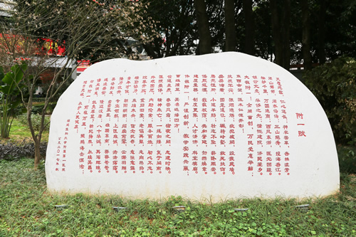 载史长廊映初心  无声文化践使命 我院美丽院区精品文化工程——医院文化长廊精彩绽放