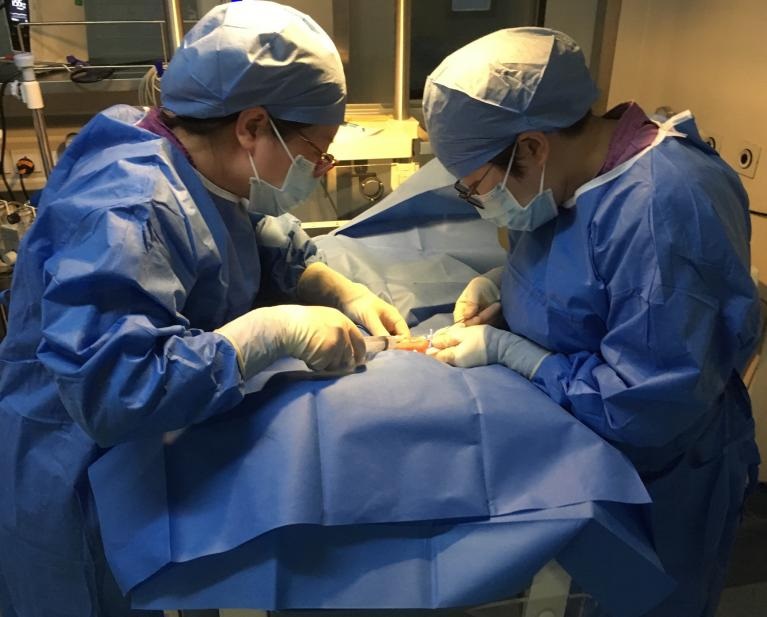 龙凤胎早产生命垂危“筑鸟巢”守护 两个宝宝都只有1公斤多；经过两周多全力抢救，情况好转， 目前体重增至1.8公斤左右