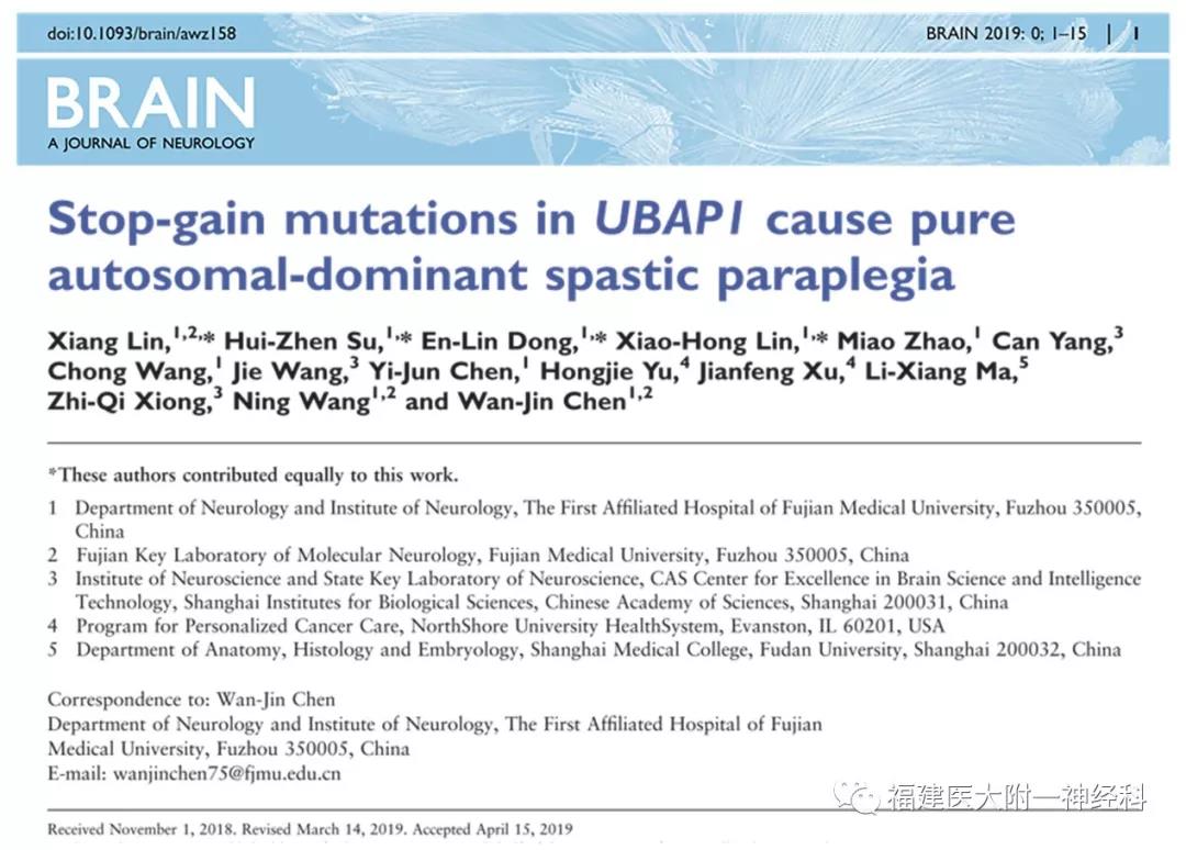 我院陈万金教授和王柠教授团队发现 遗传性痉挛性截瘫新亚型及新致病基因