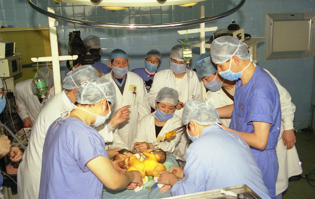 我院组图入选建国70周年全国百家名院风采展