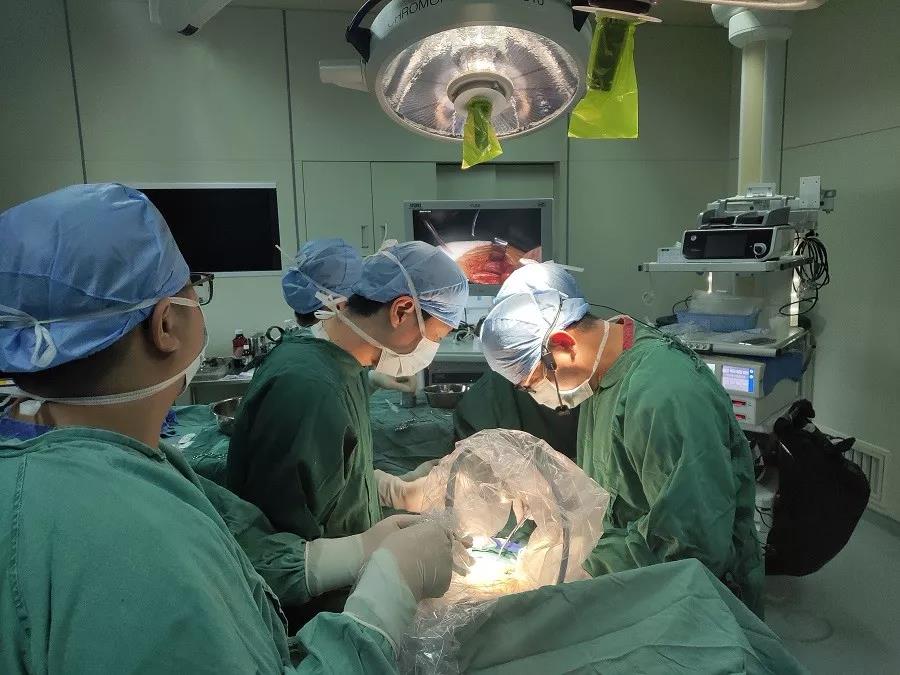 我院肝胆胰疝外科主办、联合承办国家级疝外科视频年会暨亚太疝协会培训班、福建省疝外科学习班