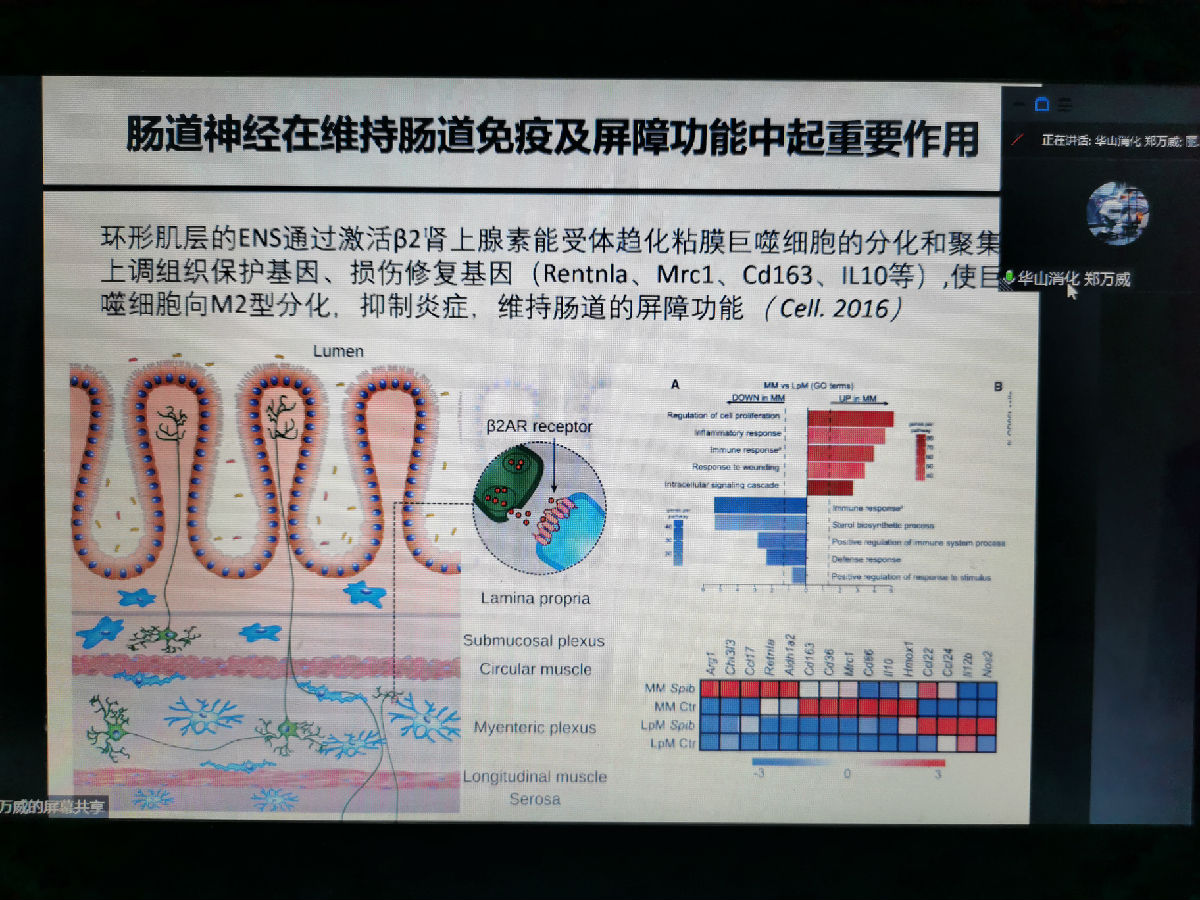 聚焦小肠疾病 尽享学术盛宴——2021华福消化论坛召开