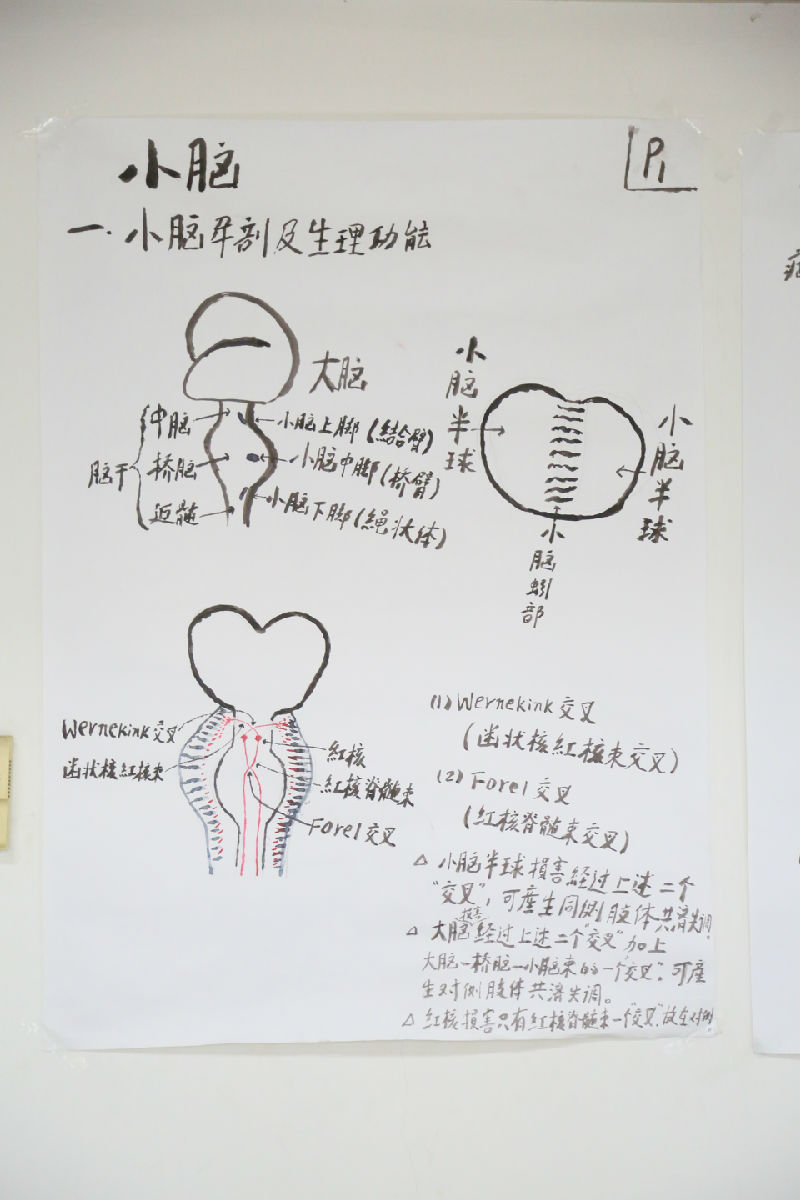 慕容慎行笔记（二）