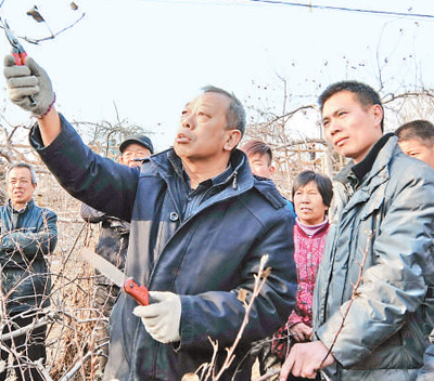 “人民楷模”李保国——&nbsp;“我愿把知识和能力全部贡献出来”