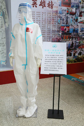 【防护服、防护面罩、护目镜、N95口罩、手套、脚套】