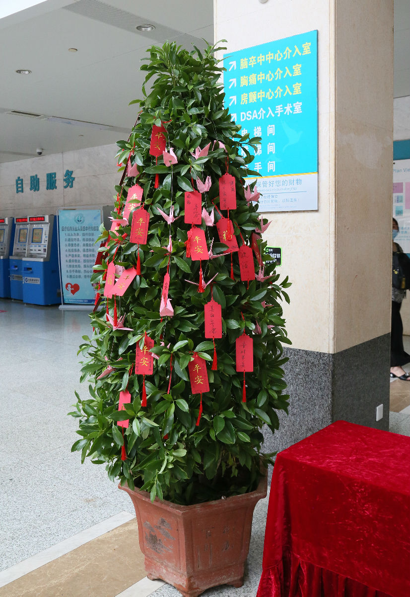【挂满千纸鹤和福卡的“幸福树”】