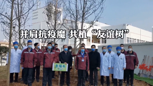 『直通宜昌』同栽友谊树，见证战友情